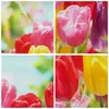 Bild auf Leinwand - Leinwandbild - Tulpe Blume Garten Produktbild-Vorschau 8