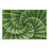 DEQORI Hybrid Leinwand Bild 90x60 cm 'Alchemie der Aloe' Produktbild-Vorschau 2