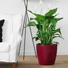 A peace lily plant in a red planter sits next to a white armchair and a floor lamp. Produktbild-Vorschau