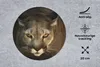 MuchoWow® Mauspad Mousepad Nahaufnahme Puma 20x20 cm - Produktbild-Vorschau 2