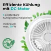 A close-up of a white fan with green leaves in the background and text overlay. Produktbild-Vorschau