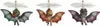 MGA Entertainment Gross-a-Saurus Flying Style 2 Produktbild-Vorschau 3