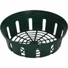 EGUFER 917-1191 Plante à bulbes 22 cm ronde, verte (paquet Voir les images du produit 2