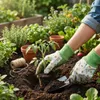 Guanto da giardino motivo api, 80% cotone, 20% poliestere, Anteprima dell’immagine prodotto 3