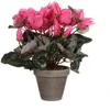 Mica Decorations Fiore artificiale di ciclamino - 30x30x30 Anteprima dell’immagine prodotto 1