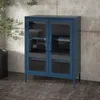 A dark blue metal cabinet with glass doors sits on a dark floor in front of a textured concrete wall. A potted plant is to the left of the cabinet. Podgląd zdjęcia produktu
