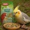 PANTO Großsittich- & Papageienfutter Pluramin® – 2,5 kg Produktbild-Vorschau 3