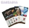 Kaskadia karty PROMO dodatkowe 5 kart zestaw minidodatek Podgląd zdjęcia produktu 2