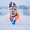 Non-stop dogwear Hundeschuhe Longdistance Booties blau - Produktbild-Vorschau 3