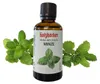 Olio per sauna HolzHacker alla menta 60 ml Anteprima dell’immagine prodotto 1