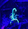 Wasserdichte Aluminium-Taschenlampe 2in1 mit UV-Detektor, Produktbild-Vorschau 6