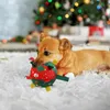 Hundeball, Weihnachtsspielzeugball mit Griff, Produktbild-Vorschau 3
