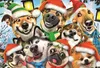 TREFL Legno Artigianato Origine puzzle di Natale cani 501 Anteprima dell’immagine prodotto 2