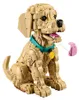 LEGO Icons 11384 Golden Retriever Welpe Anteprima dell’immagine prodotto 23