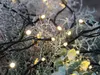 A close-up view of outdoor LED string lights intertwined with frosted greenery. Podgląd zdjęcia produktu