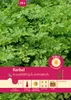 Artikelbild 1 von 'Kerbel Commun' aus der Kategorie Kerbelsamen Produktbild-Vorschau