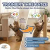 HomePetWorld Kratzschutzfolie Katzen 20x30 cm 12 Stück Produktbild-Vorschau 3