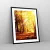 Gerahmtes Poster - Schwarzer Rahmen - Wald Baum Natur - Produktbild-Vorschau 8
