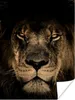 MuchoWow® Poster Löwe - Tiere - Schwarz - Porträt 120x160 Produktbild-Vorschau 1