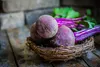SAFLAX Kultivačný set - BIO - Cvikla - Chioggia - Beta Náhľad obrázku produktu 8