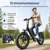 Maxtron Ilex Klapprad E-Bike – 250W Motor, 691Wh Akku, Produktbild-Vorschau 15