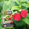 Erdbeer-Dünger 0,75 l - Hochwertig - Nährstoffreich - Für Produktbild-Vorschau 7