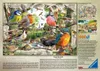 Ravensburger Puzzle 1000 Our Feathered Friends 12+ Produktbild-Vorschau 2