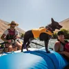 Ruffwear Float Coat, M, Polyester, Gelb, Einfarbig, 45 - 59 Produktbild-Vorschau 4