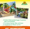 Neudorff  - Azet HochbeetDünger 1L für 200L Gießwasser - Produktbild-Vorschau 4