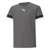 Puma Teamrise Trikot Kurzarm Kinder - Grau Produktbild-Vorschau 1