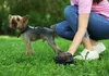 Hundekotbeutel-Etui + Beutel Produktbild-Vorschau 10