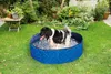 Karlie Doggy Pool Voir les images du produit 9