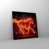 Bilder auf glas - Pferd Illustration Flammen - 50x50cm - Produktbild-Vorschau 4
