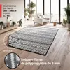 Tapis d'extérieur EVOCAMP 200 x 300 cm, tapis en plastique, Voir les images du produit 4