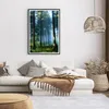 Gerahmtes Poster - Schwarzer Rahmen - Wald Dämmerung die Produktbild-Vorschau 7