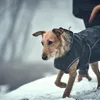 Hunter Hundemantel Uppsala Softshell, Größe:35 cm Produktbild-Vorschau 10