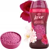 LENOR Duftperlen für die Wäsche 195 g Rubinrot-Jasmin/Ruby Produktbild-Vorschau 1