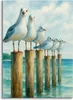 Muralo Leinwandbild Canvas Bemalte MÖWEN Meer Aquarell Br. Produktbild-Vorschau 6