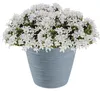 Runder Blumentopf aus Kunststoff hellgrau 15 cm Furu Produktbild-Vorschau 3