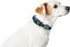 Hunter Halsband Hilo Vario Basic Produktbild-Vorschau 7