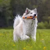 Chuckit! - Ultra Fetch Stick - 28 cm - 1 kus Náhľad obrázku produktu 17