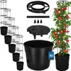 KOTARBAU® 5er Set Tomatenpflanze Pflanzkübel ⌀ 39 cm mit Produktbild-Vorschau 1
