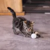 Beeztees Katzenspielzeug Kitten Ping Pong Bälle Produktbild-Vorschau 4
