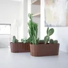 Two brown planters filled with various cacti and succulents on a white surface, with a blurred background of a room. Anteprima dell’immagine prodotto