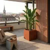 Plantenbak 'Vaargel', plantenpot voor binnen en buiten, 60 Productafbeelding-voorbeeld 4