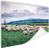 MuchoWow® Poster Schafe - Natur - Gras 60x40 cm - Produktbild-Vorschau 1