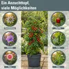 Kvetináč na pestovanie paradajok TOMATO GROWER antracit Náhľad obrázku produktu 15