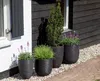 Four black planters with various plants are arranged on a gravel path next to a dark wooden house. Náhľad obrázku produktu