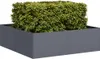 vidaXL Sadzarka antracytowa 100x100x30 cm stalowa Podgląd zdjęcia produktu 2