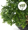 Kunstbonsai, Podocarpus, zeder, kiefer, zwarte keramische Productafbeelding-voorbeeld 3